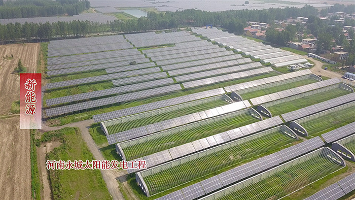 河南永城太陽能發(fā)電項目